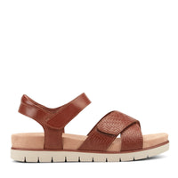 Medium Brown