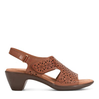 Brown Leather